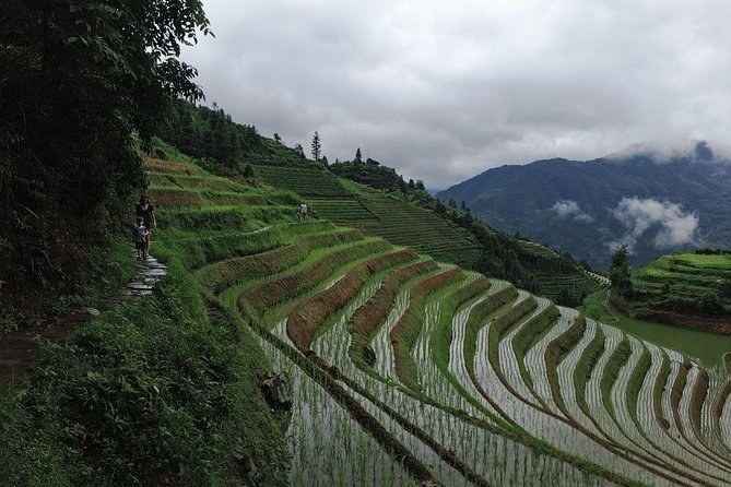 Longji Rice Terraces Self-Guided Day Trip with Driver