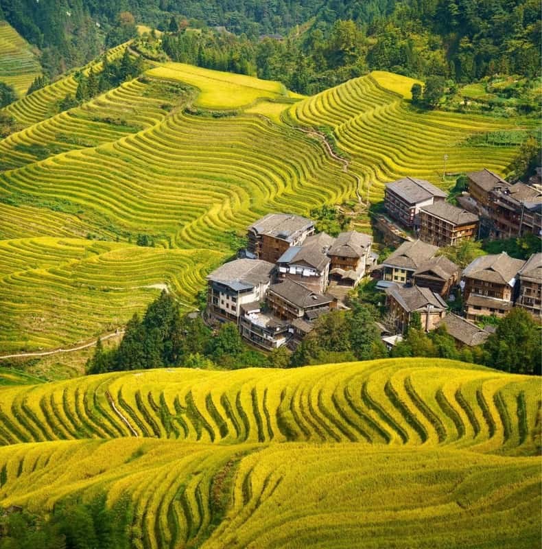 Longji Rice Terraces Tour with Oil Tea & Zhuang Lunch