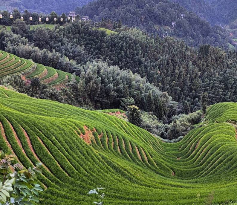 Ping’an or Dazhai: Choosing Your Longji Rice Terraces Viewpoint