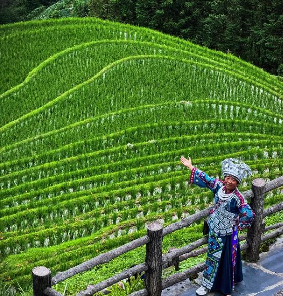 A woman in embroidered minority dress with a silver headdress standing at a timber fence above the Longji Rice Terraces