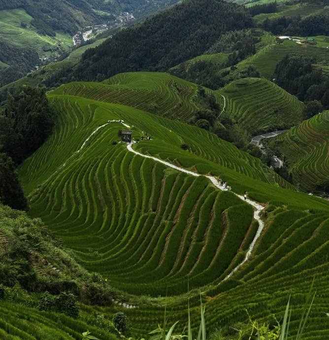 A Day at the Longji Rice Terraces, Hour by Hour