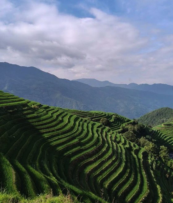 Longji Rice Terraces running along a ridge under a wide sky with layered mountains behind