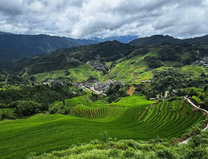 A village of dark timber houses in the valley below the Longji Rice Terraces with terraced slopes on every side