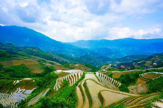 Longji Rice Terraces Mini-Group Tour with Guided Hike